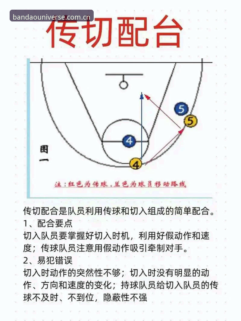 半岛体育操作体验 半岛体育综合操作体验完整指南:深度解析与实战技巧